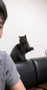 Video thumb